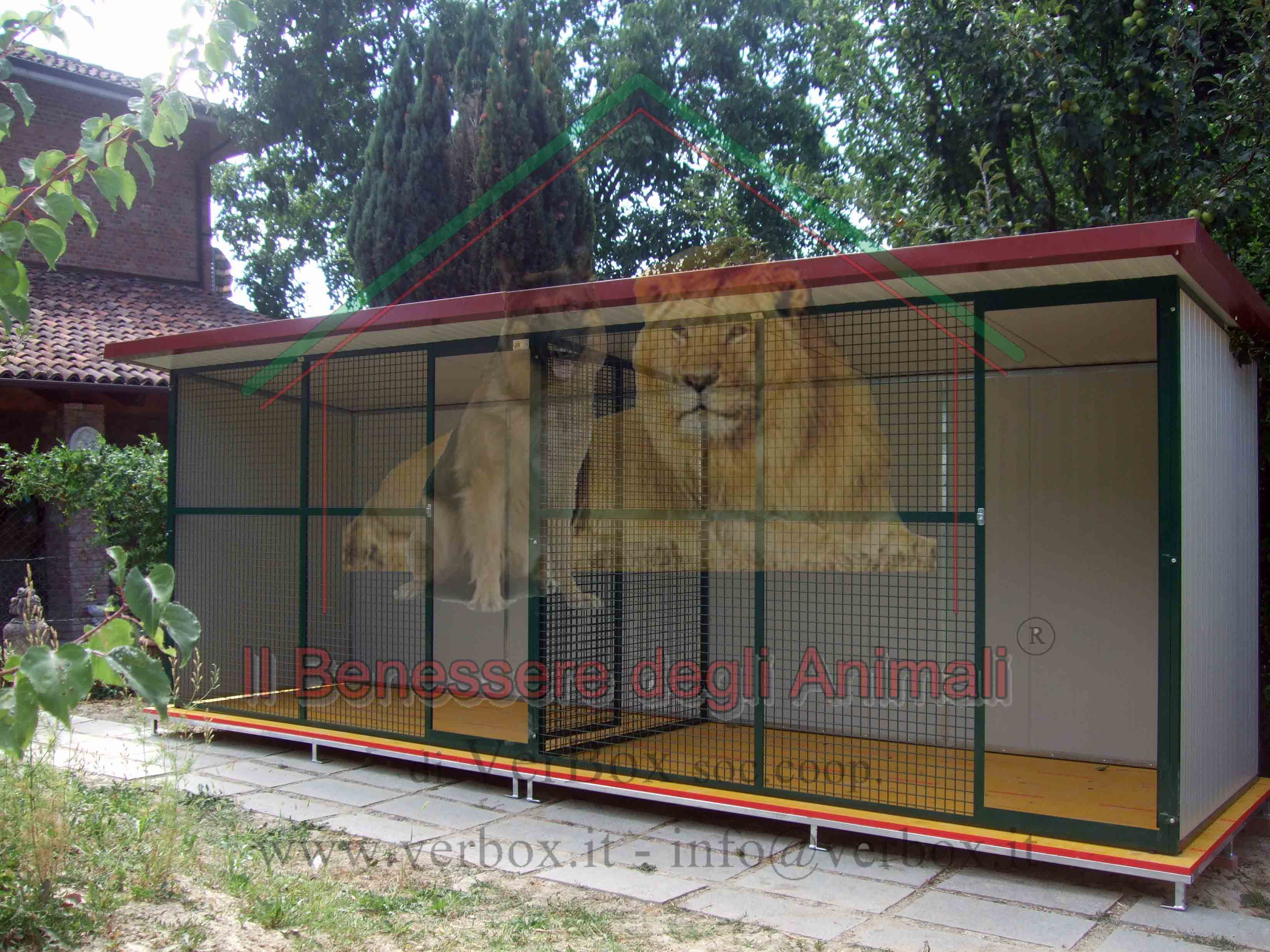 recinzione cani - Recinzioni